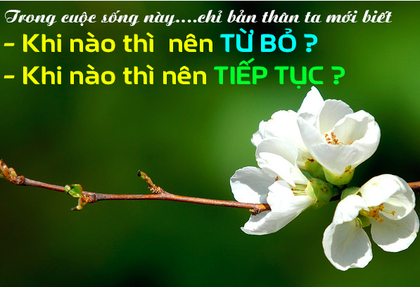 Cầm và bỏ