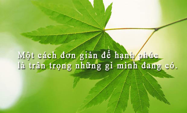 Nếu không thể sống tốt, hãy nên sống đúng!